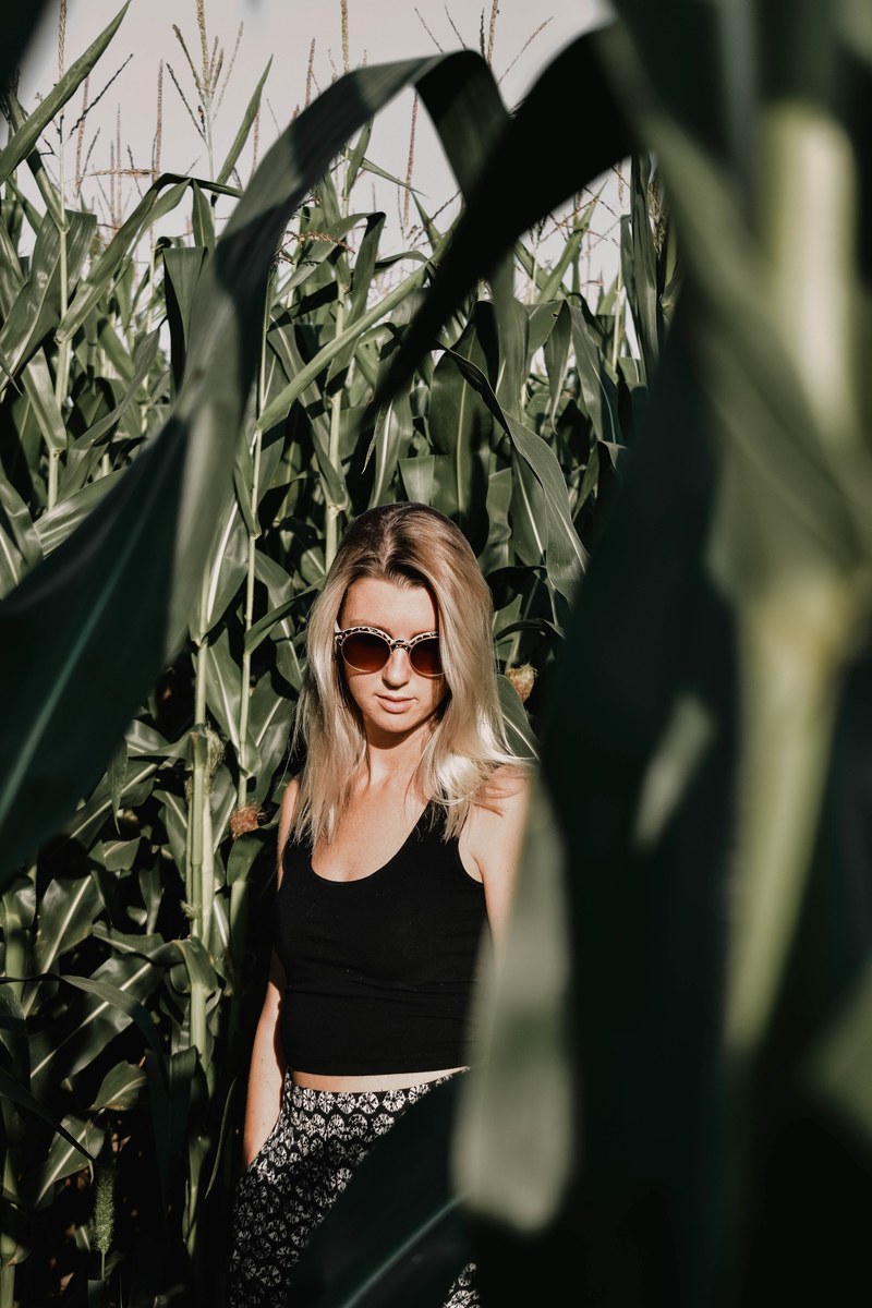 woman girl fashion and field hd, 4k