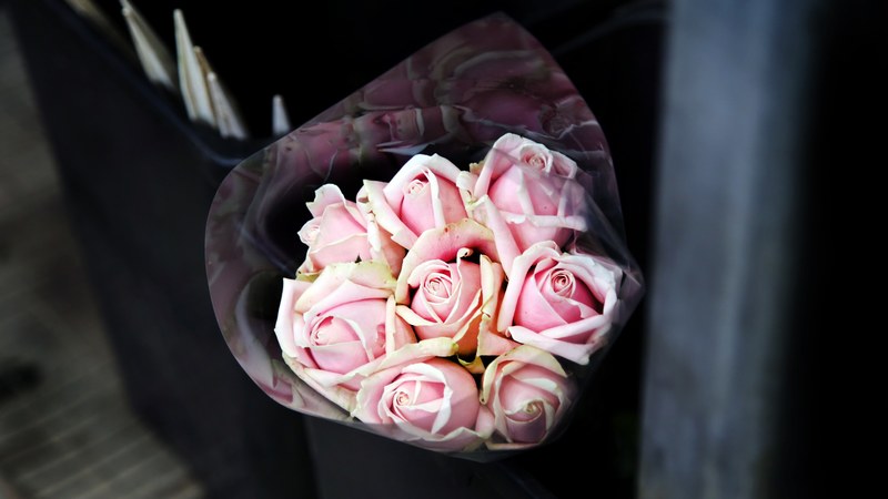 a bouquet of pink roses wrapped in cellophane, pink rose bouquet 4k