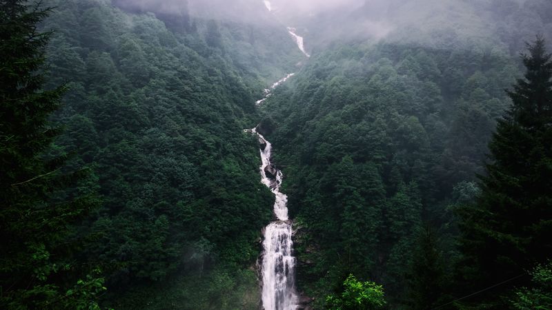 waterfall, trees, fog, 4k