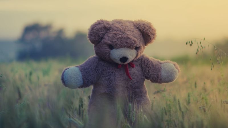 teddy bear, toy, grass, 4k