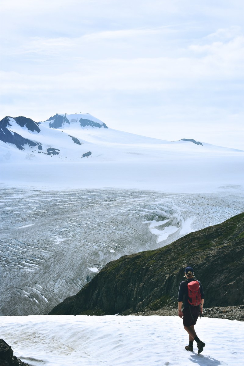 who left the fridge open 4k