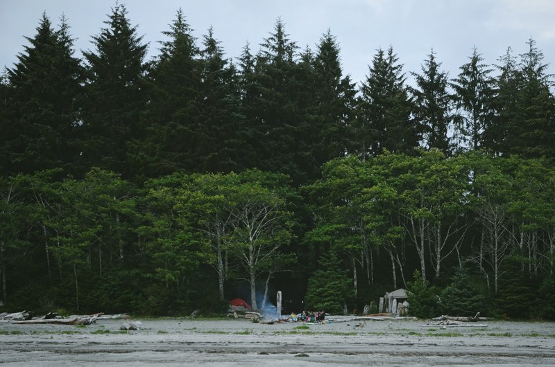 campers round the fire, campers at the forests edge 4k
