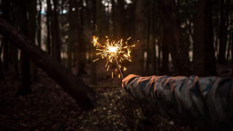 bengali fire, hand, night, forest, 4k