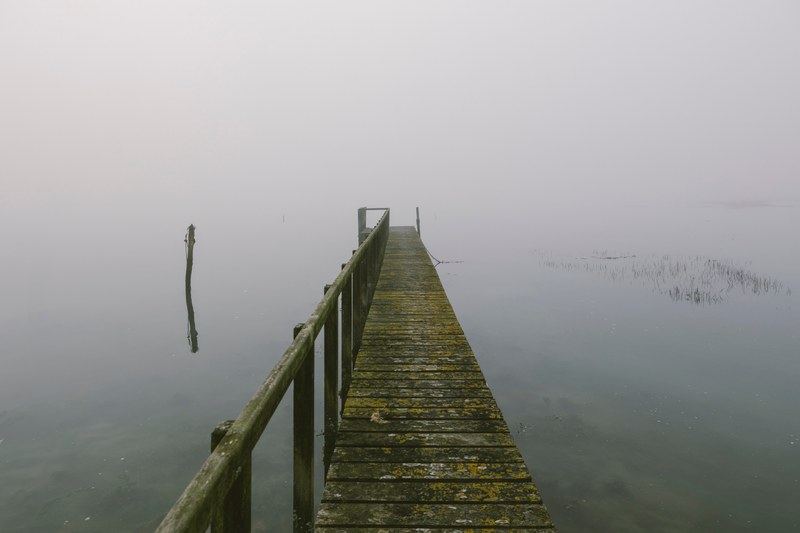 foggy wood minimal and mood 4k