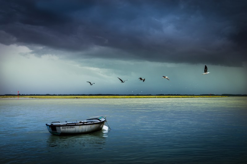 landscape zen vacation and bird 4k