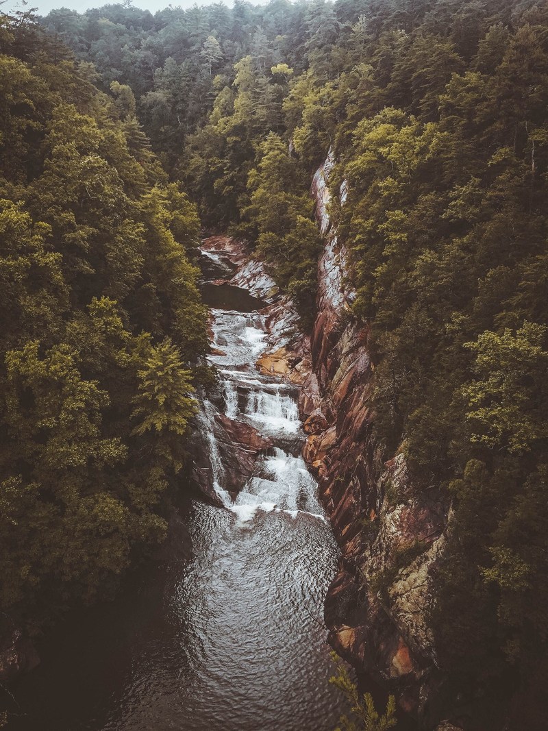 cascade waterfall forest and river hd, 4k