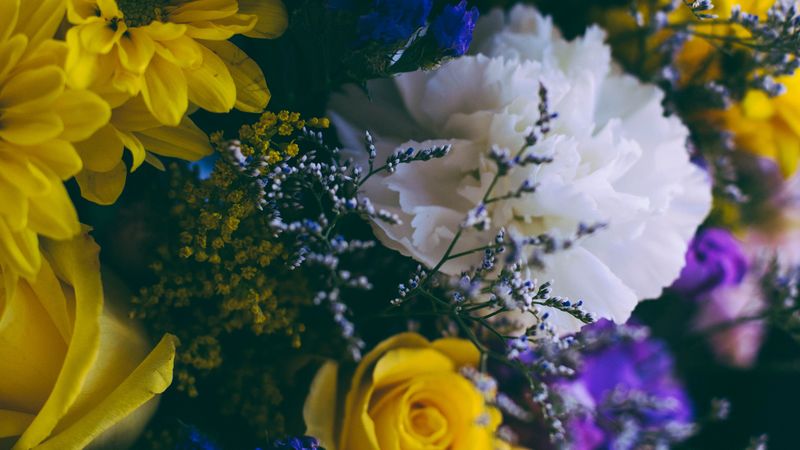 flowers, bouquet, composition, colorful, 4k