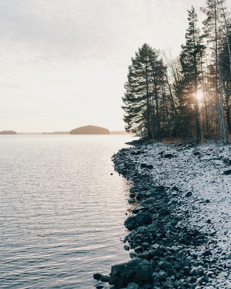 nordic wildlife nature and vrmland hd, 4k
