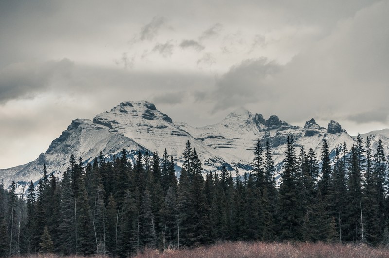 overcast landscape of snowy mountains and evergreen trees in banff, overcast winter day in banff 4k