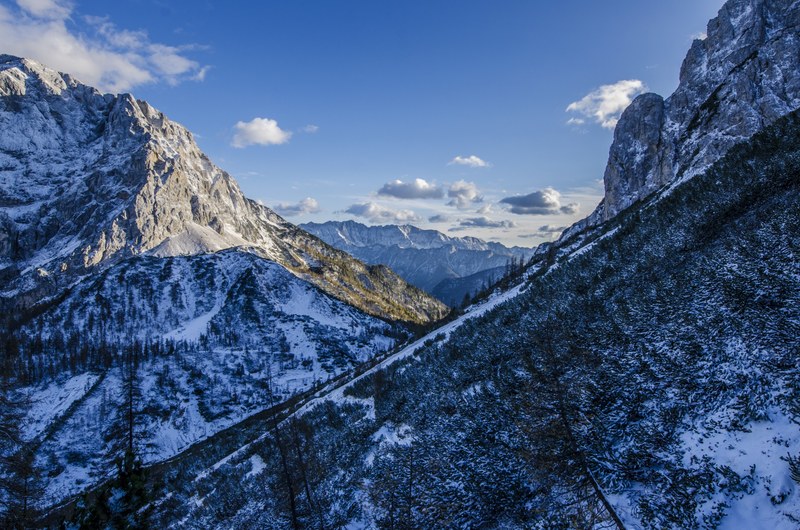 a blue hued shot of sparsely wooded mountain slopes under snow, blue mountains in winter 4k