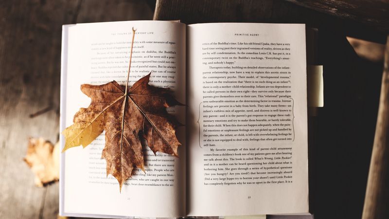 book, maple, leaf, autumn, 4k