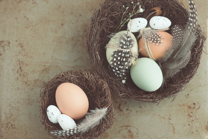 a large and small nest easter basket with eggs and feathers in each, simplicity of nature 4k