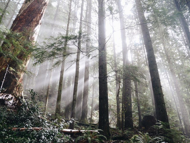 hiking pacific northwest canada and british columbium 4k