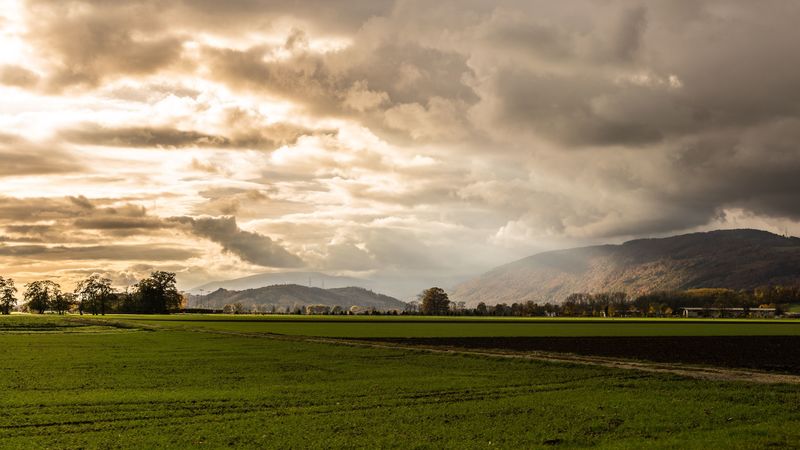 mountains, fog, field, nature, 4k