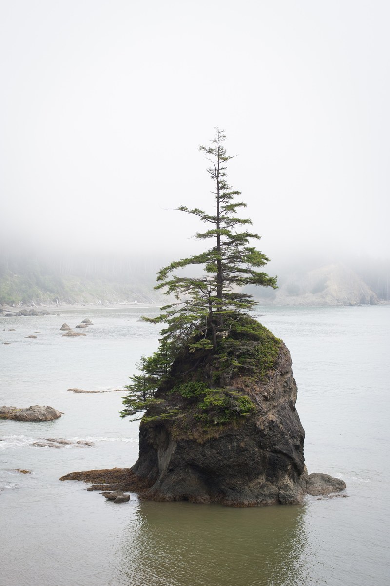 tree rock island and mountain hd, 4k