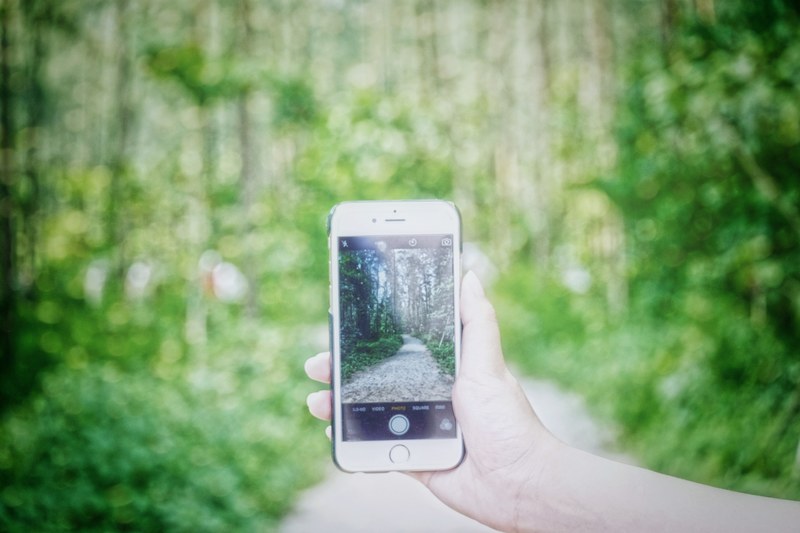 a person taking a picture of the woods, _taking picture woods 4k