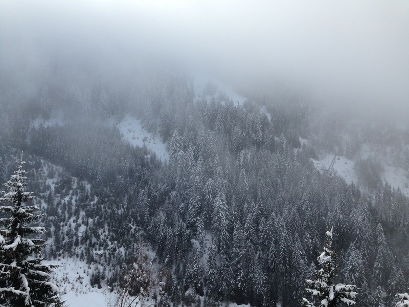 fog covering an evergreen forest over a mountain slope, fog covered mountain forest 4k