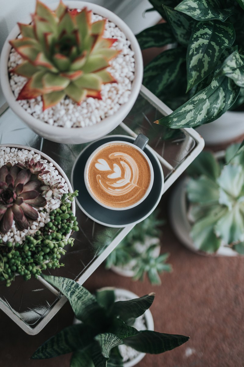 coffee latte artwork on glass table surrounded by green plants, coffee art and plants 4k