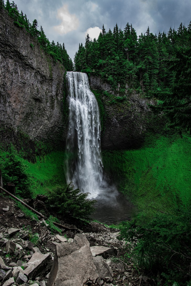 waterfall cascade tree and rock hd, 4k