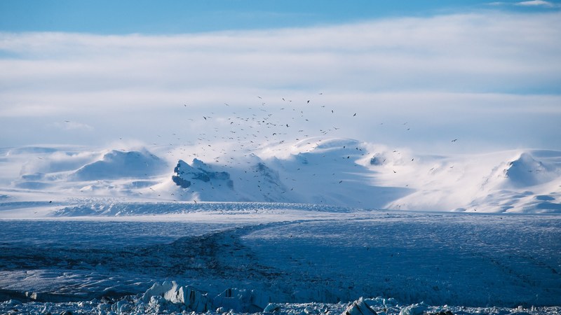 an arctic landscape with a flock of birds circling above a glacial plain and snowy mountains at the back, arctic plains 4k