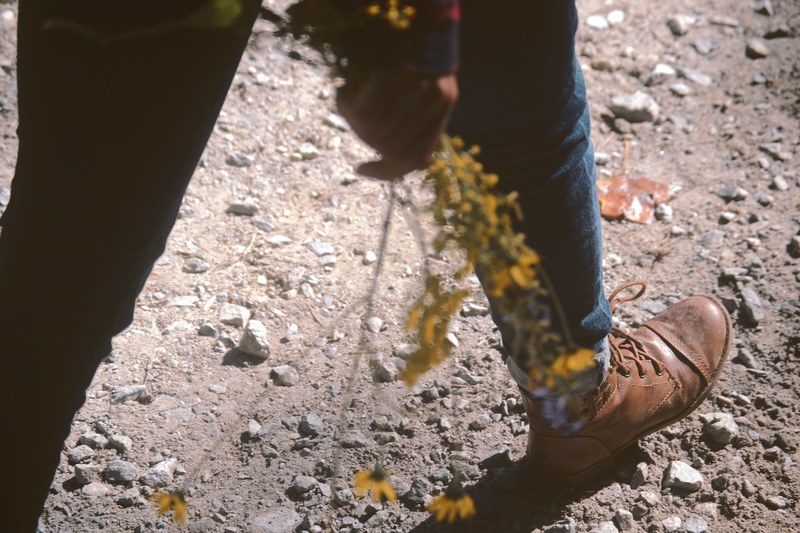 walk flower hike and outdoor 4k