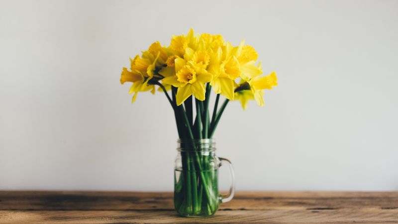 daffodils, bouquet, vase, 4k