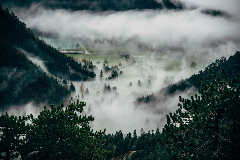 a wooded valley shrouded in a thick mist, mist in an evergreen valley 4k