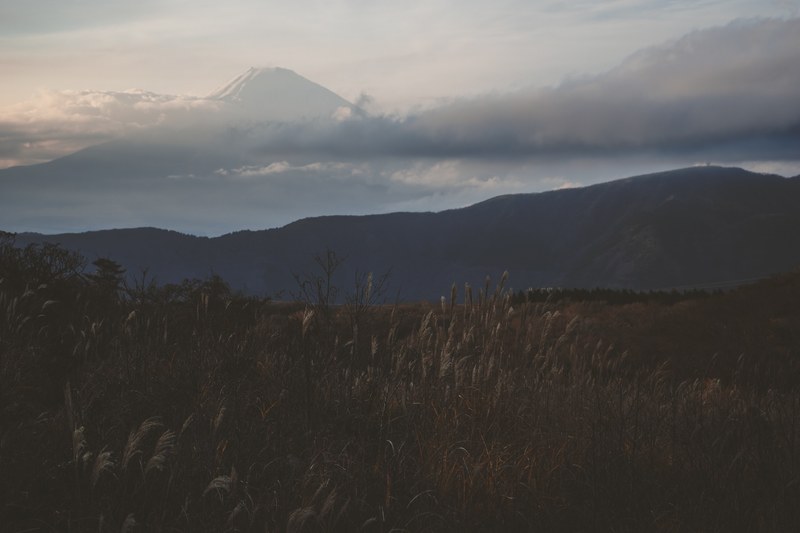 a dim shot of a grassy field with a high mountain emerging from the clouds, mountain above the clouds 4k