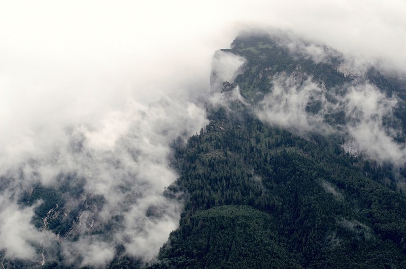 mist rolling down the heavily wooded slopes of a steep mountain, mist rolls down 4k