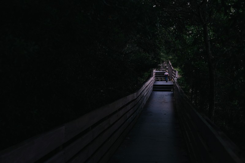 a person walking along a railed pathway at bay bluffs park in the middle of the night, little explorer life off screen 4k