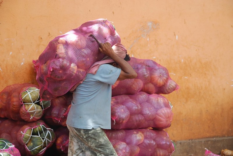 a man carries and stacks pumpkins in bags, man and pumpkin bags 4k