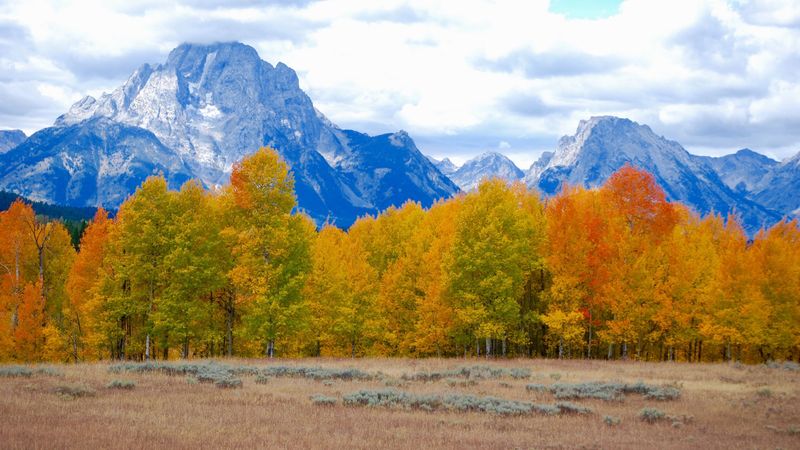 trees, autumn, mountains, 4k