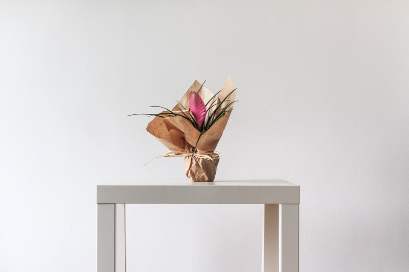 minimalist flower arrangement on white table 4k