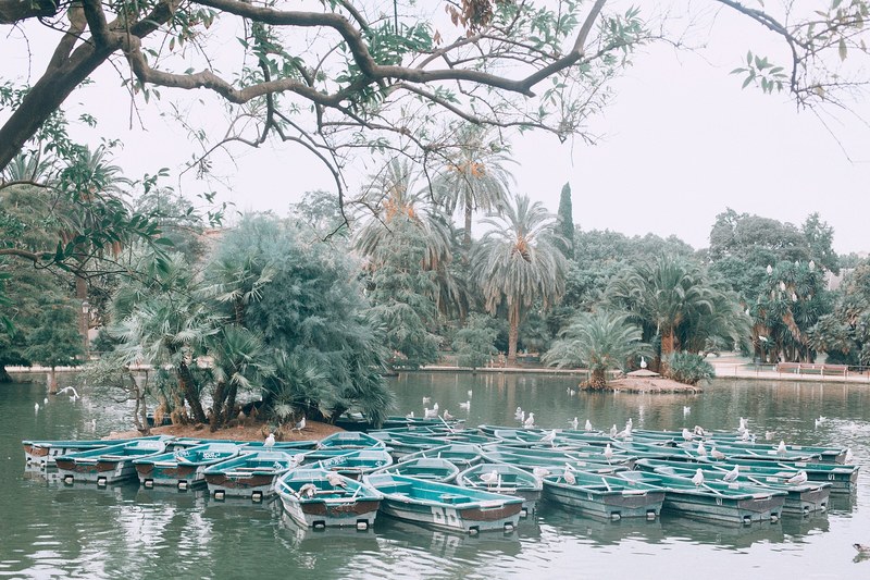canon 35mm film and boat 4k