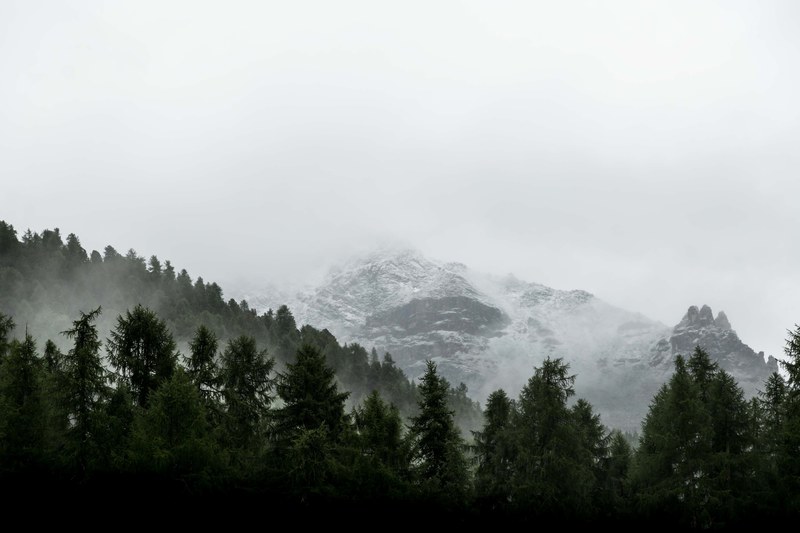 mist covering the snowy peaks and trees near the mountain village of pontresina grisons switzerland, misty mountain 4k