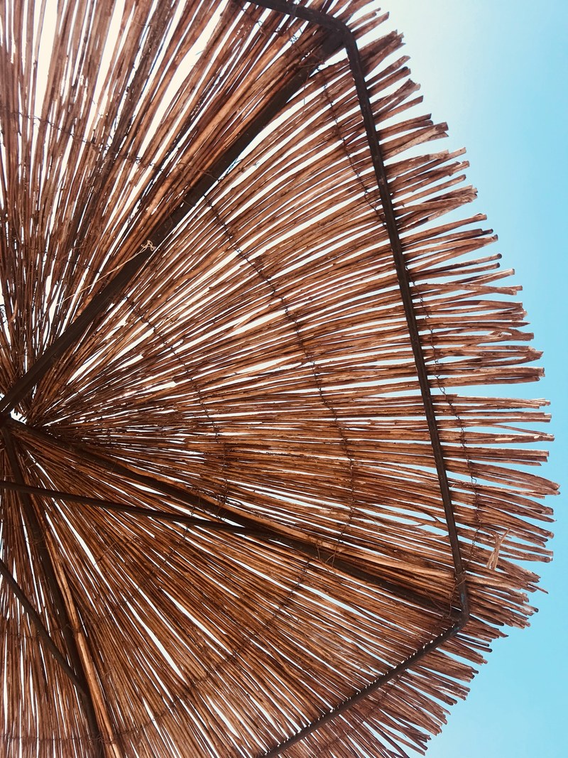 parasol sunshade grass and umbrella hd, 4k