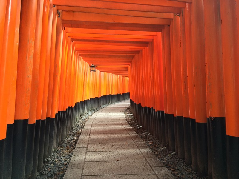 inside orange wooden archways forming a hall in kyoto , kyoto orange hallway 4k