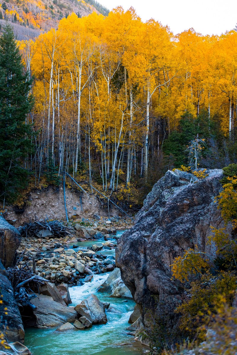 rock tree fall and autumn hd, 4k