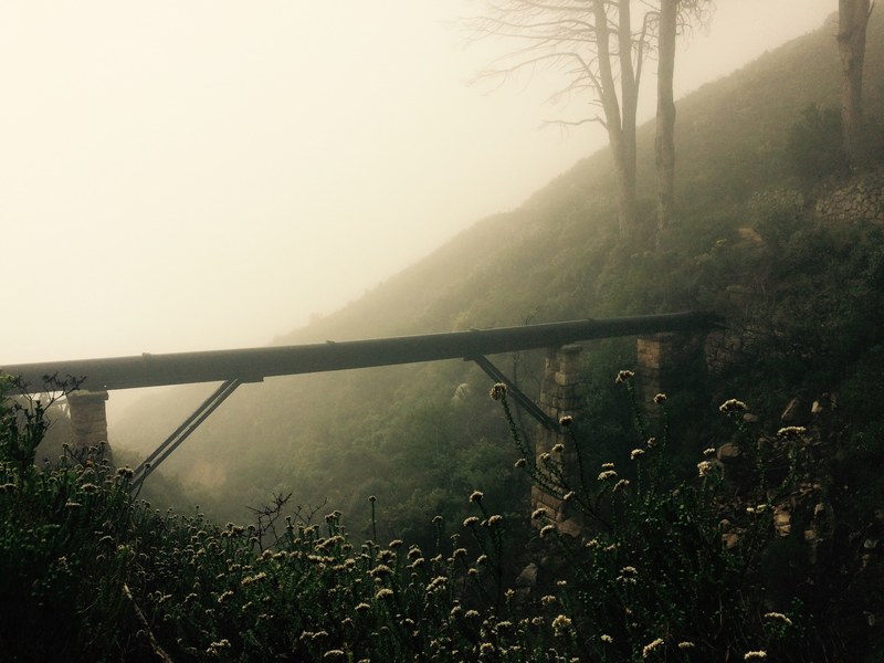 a foggy misty forest with a pipe running through it in cape town, cape town misty forest 4k