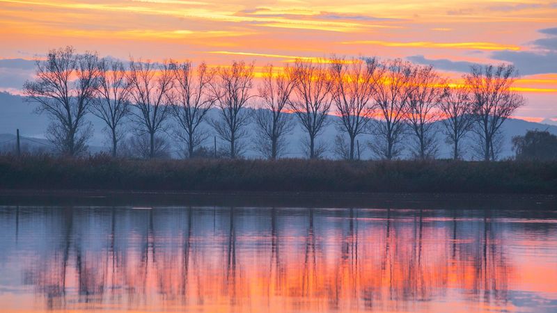 lake, sunset, trees, reflection, 4k