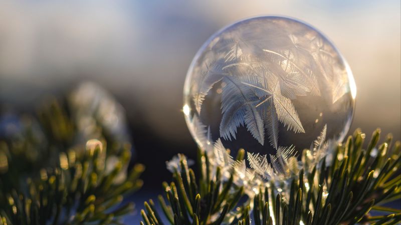 ball, hoarfrost, fir, branch, close-up, 4k