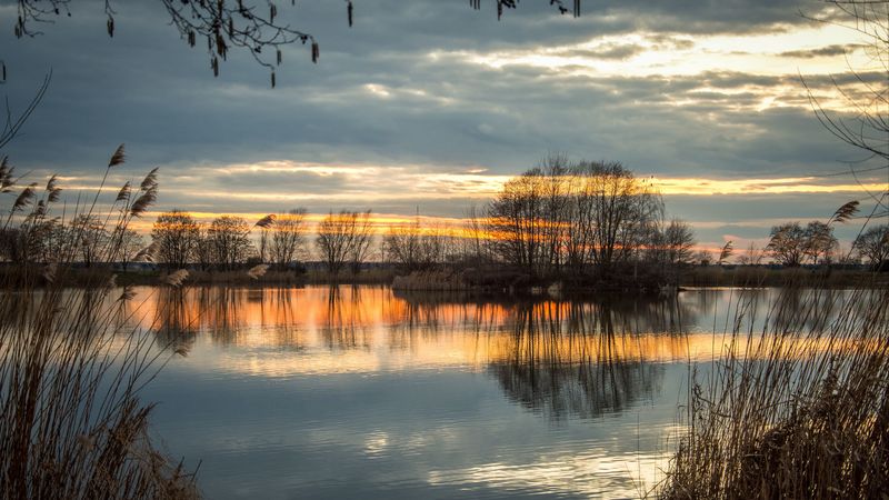 lake, sunset, grass, reflection, 4k