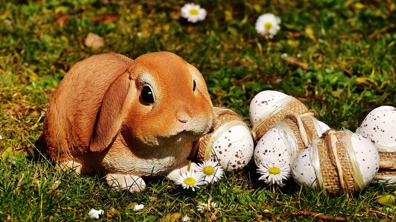 easter, rabbit, eggs, 4k