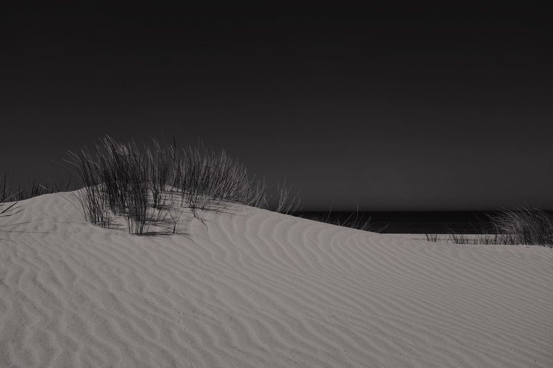 beach sand dunes rippled by the wind in dark, rippled sand dunes 4k