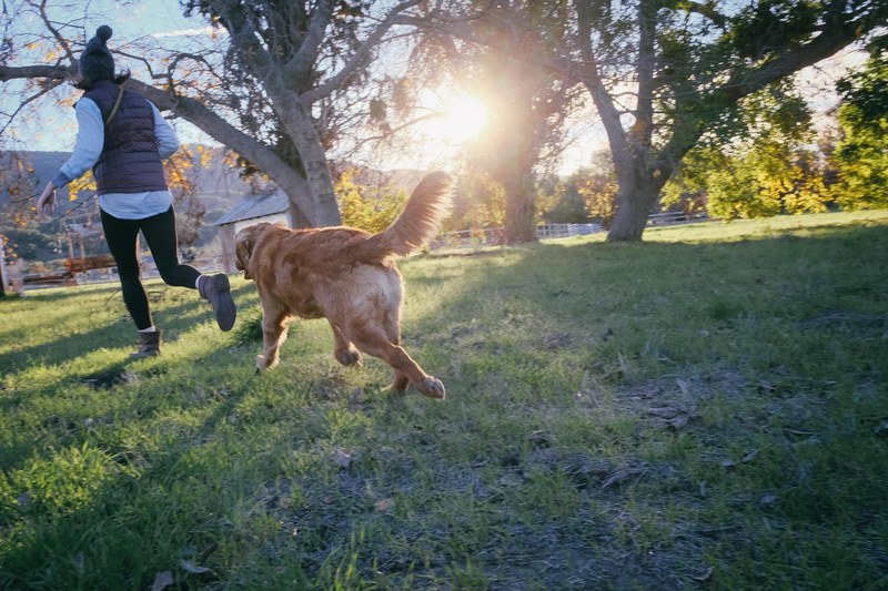 outdoor winter fun and motion blur 4k