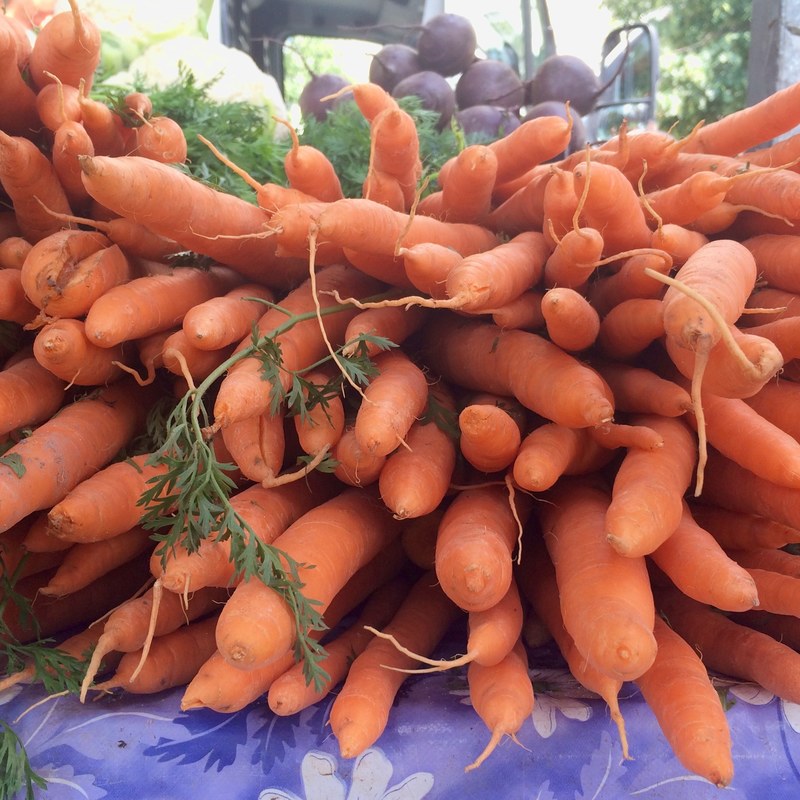 orange veg carrot and prague market 4k