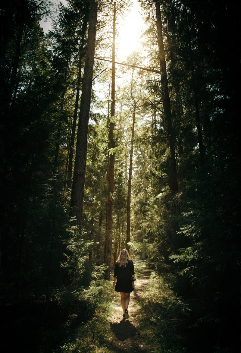 a woman wearing a dress walking down a tree lined path in nynshamn, lost in the woods 4k