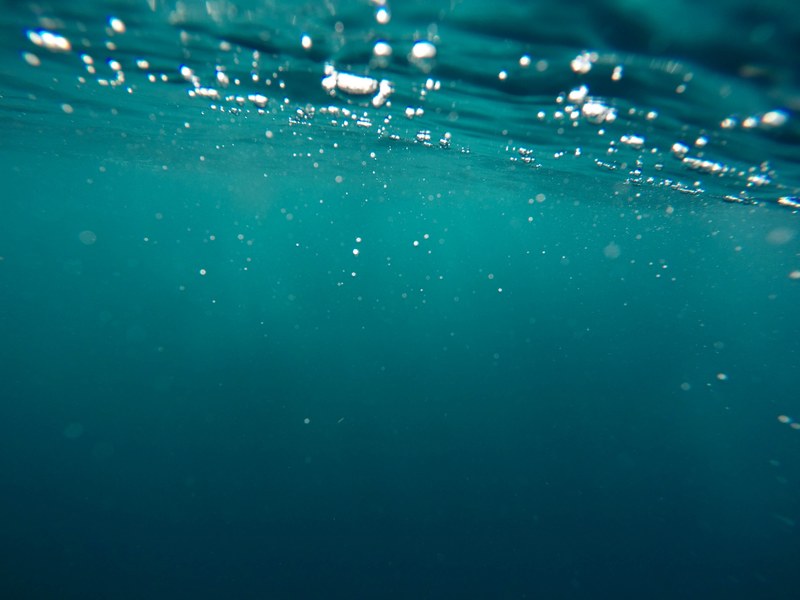 an image taken underwater, _underwater image 4k