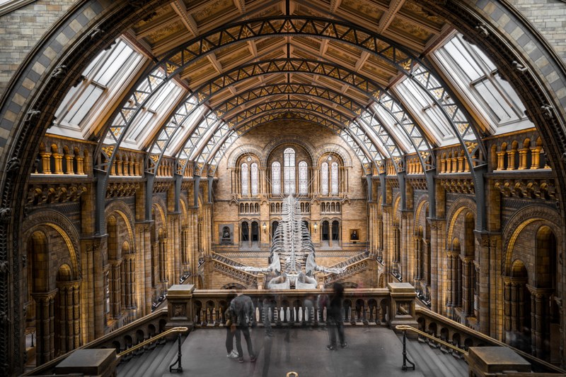 national history museum london 4k