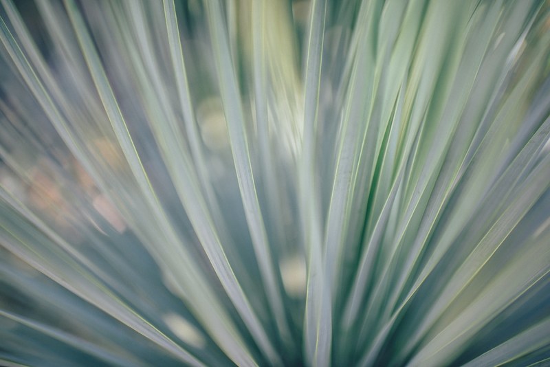 a heavily blurred image, _heavy blurring photo 4k